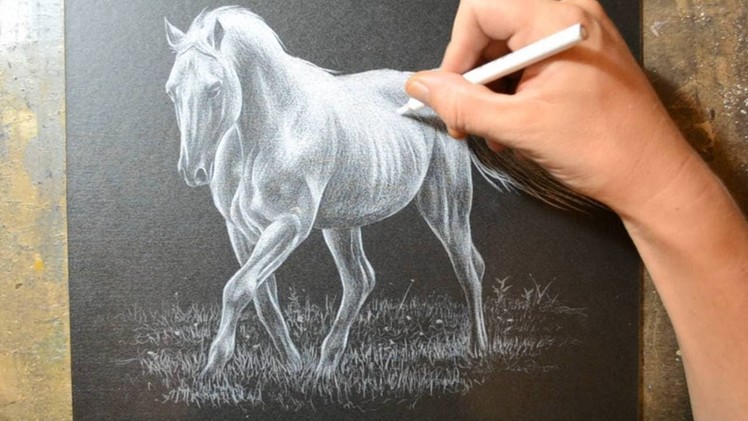 Drawing a Horse with a White Colored Pencil Crayon