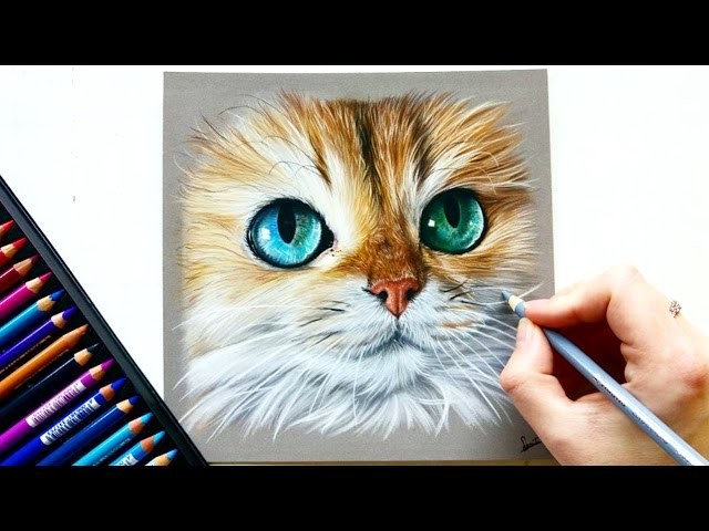 Drawing a photorealistic cat portrait with pastel pencils | Leontine van Vliet