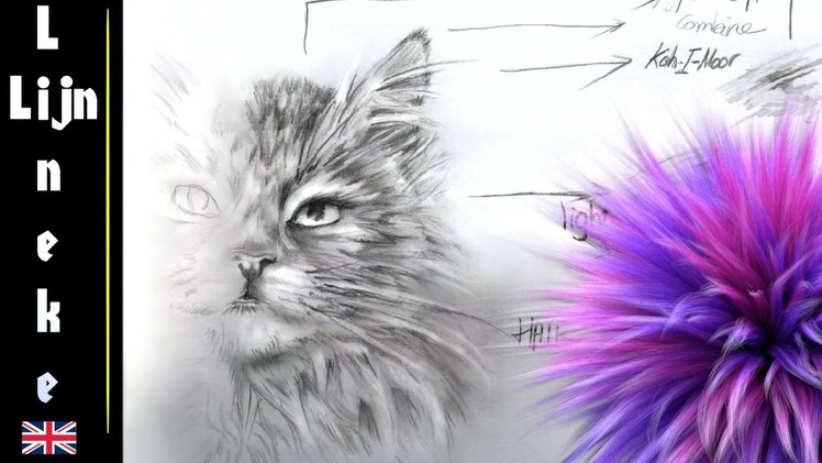 Drawing FUR and animal hair Cat in graphite pencil for beginners