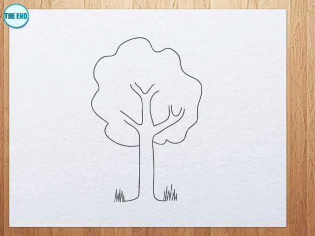 How to draw a tree for kids