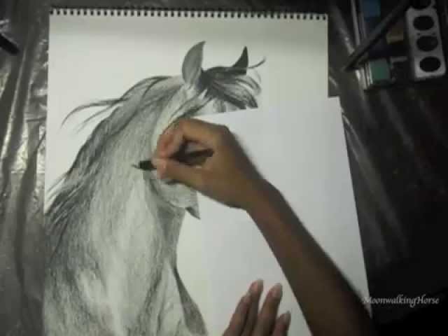 MOVED CHANNELS, SEE DESCRIPTION: Arabian Horse Speed Drawing