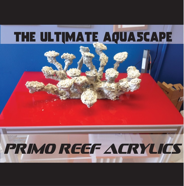 The ULTIMATE Aquascape