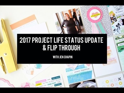 Status Update - 2017 Project Life Album