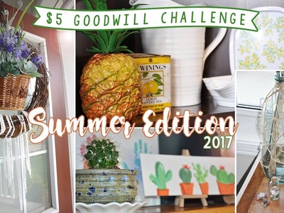 $5 Goodwill Challenge Summer 2017