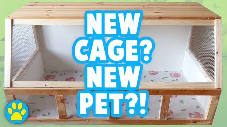 Building A Wooden Cage | Preparing For Another Pet! ???? | Part 1.3