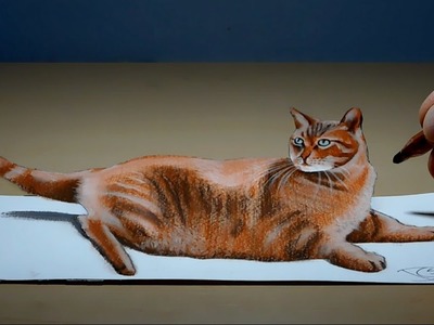Cat, Long Version 3D Trick Art on Paper