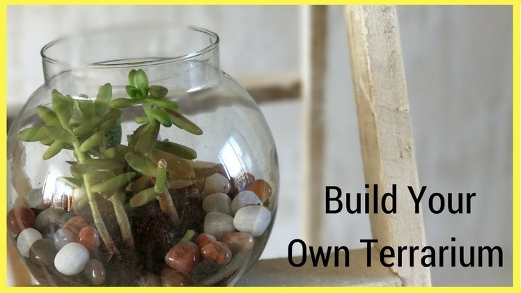 DIY| How to make a terrarium for Indian weather