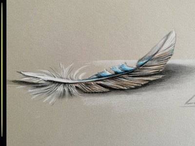 Drawing a Feather 3D effect  with color pencils and pastel pencil