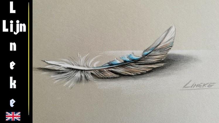 Drawing a Feather 3D effect  with color pencils and pastel pencil