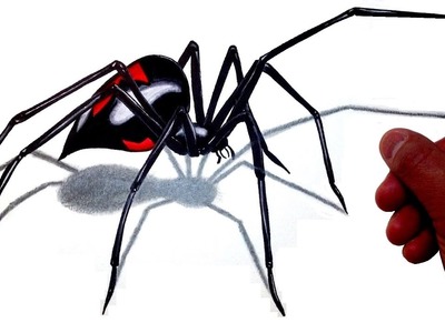 How to Draw a Realistic 3D Giant Black Widow Spider!
