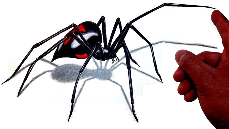 How to Draw a Realistic 3D Giant Black Widow Spider!