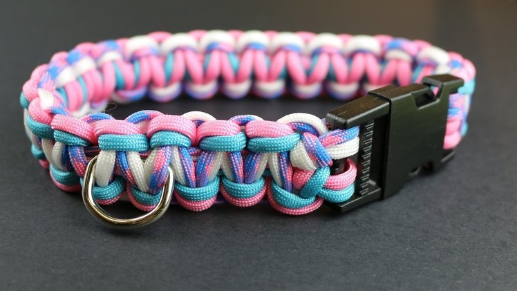 HOW TO MAKE A 4 COLOUR COBRA PARACORD  DOG COLLAR TUTORIAL