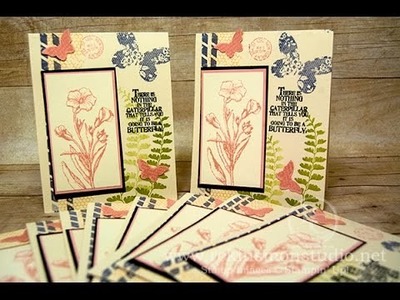 10 Cards in 20 minutes featuring Butterfly Basics from Stampin' Up!