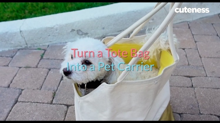 How to Turn Your Tote into a Pet Carrier - Cuteness.com