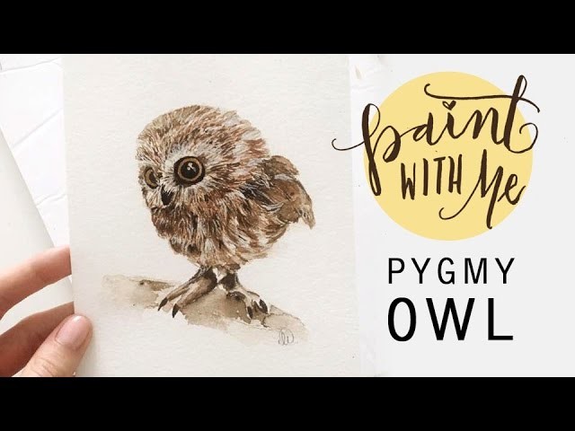 PAINT WITH ME: Cute Watercolour Pygmy Owl (Watercolor Painting)