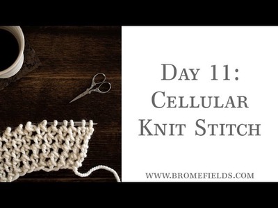 Day 11 Cellular Knit Stitch of #100daysofknitstitches