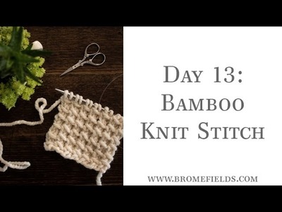 Day 13 Bamboo Knit Stitch #100daysofknitstitches