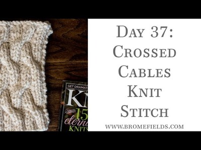 Day 37 : Crossed Cables Knit Stitch : #100daysofknitstitches