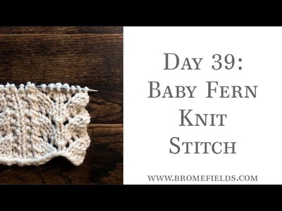 Day 39 : Baby Fern Knit Stitch : #100daysofknitstitches