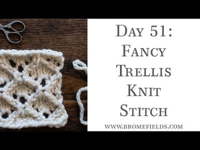 Day 51 : Fancy Trellis Knit Stitch : #100daysofknitstitches