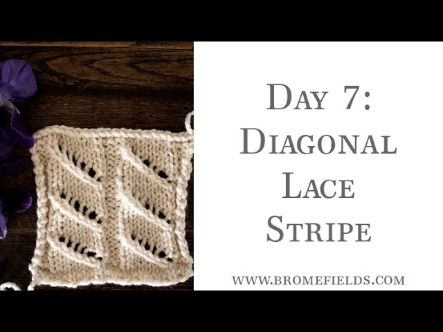 Day 7  Diagonal Lace Stripe Knit Stitch