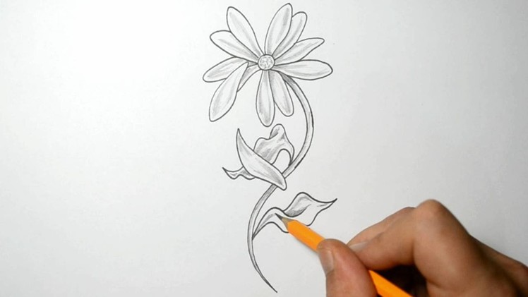 Drawing a Daisy with Falling Petals
