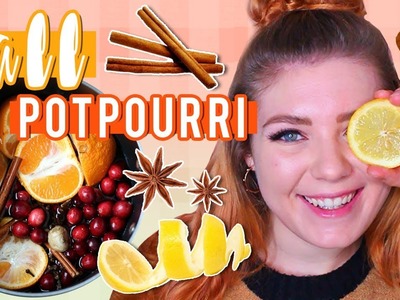 Fall Potpourri Recipes YOU HAVE TO TRY!