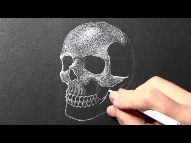 How to Draw a Skull [White Pencil on Black Paper]