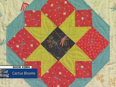 Love of Quilting Preview: Exploring Color Placement (Episode 2904 – Cactus Blooms)