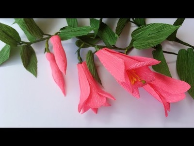 ABC TV | How To Make Lapageria Rosea  Paper Flower From Crepe Paper - Craft Tutorial