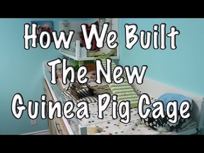 BudgetBunny: How We Built The New Bb Guinea Pig Cage!!