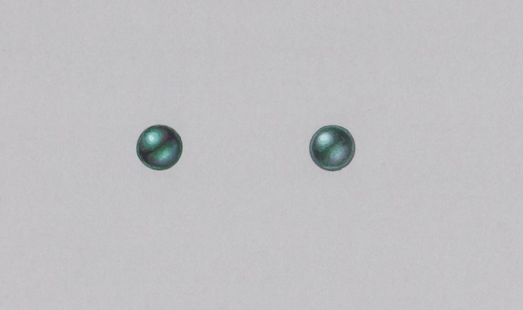 How to draw a tahitian pearl
