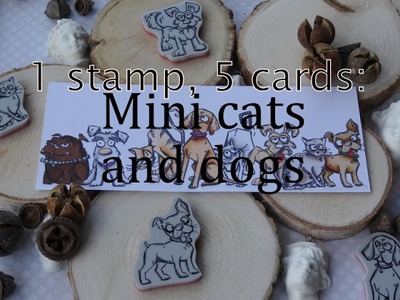 1 stamp, 5 cards: Crazy Cats and Dogs