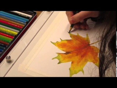 Autumn Leaf - Colored Pencil