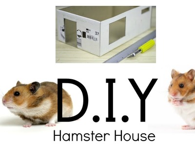 D.I.Y Hamster House