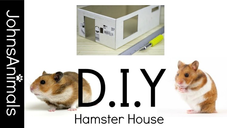 D.I.Y Hamster House