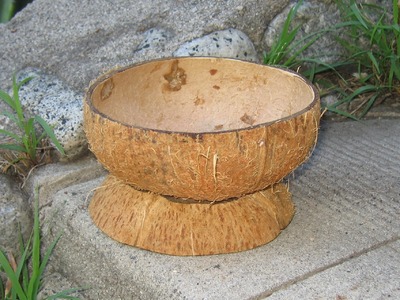 How to Make a Coconut Shell Bowl