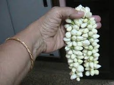 How to make Jasmine garland|How to string jasmine flower|
