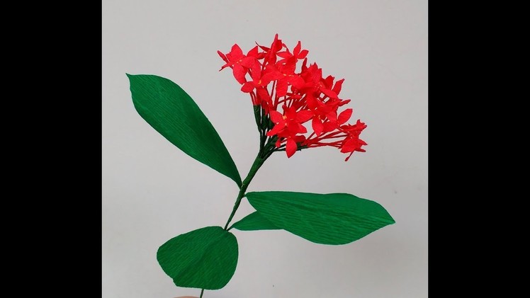 How to make Paper Flowers Ixora.West Indian Jasmine ( flower # 203)