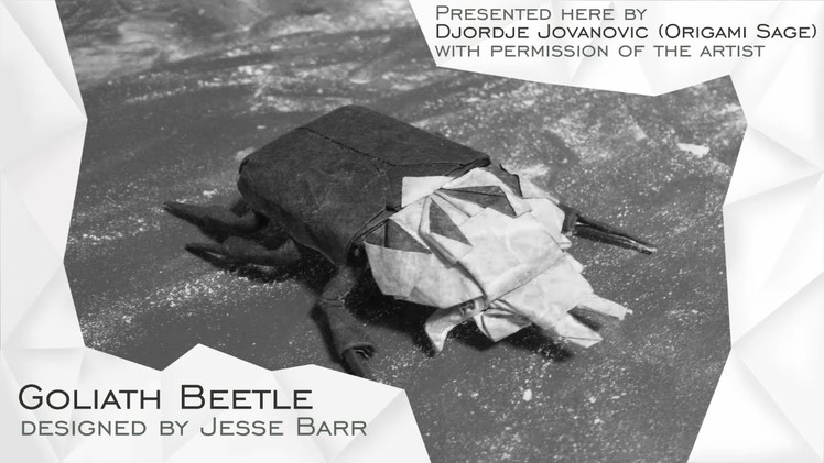 Origami Goliath Beetle by Jesse Barr (TUTORIAL) Precreasing