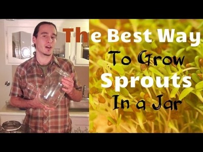 The Best Way to Grow Sprouts in a Jar