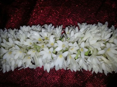 சம்பங்கி பூ மாலை | How to tie Tuberose flower Garland