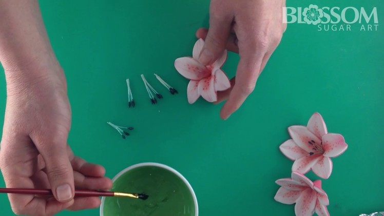Adding stamens to a lily