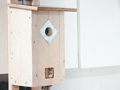 Building a Birdhouse - Things to Consider