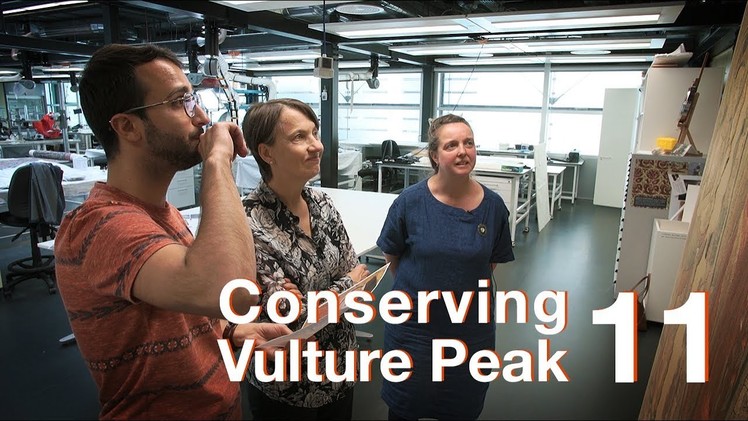 Conserving Vulture Peak I Episode 11: The results