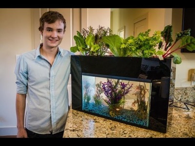 Grow Your Favourite Plants With Fish Waste With This Smart Aquarium