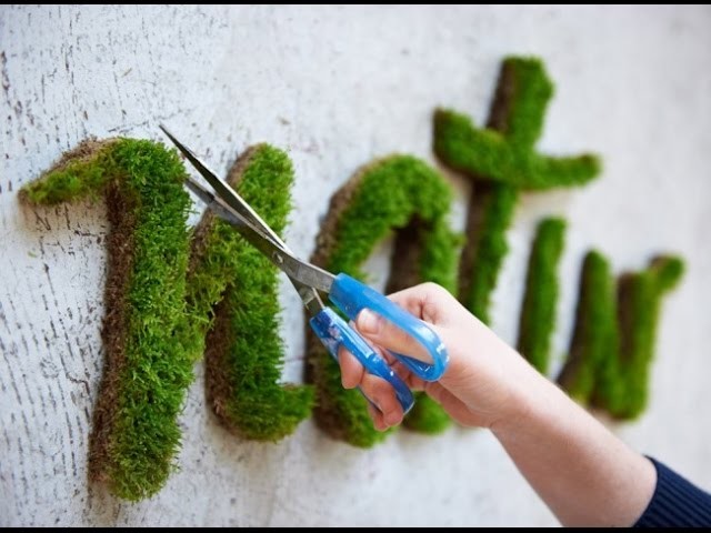 How to grow beautiful art out of moss