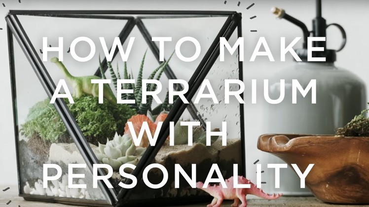 How To Make A Terrarium With Personality | west elm