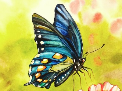 Watercolor Blue Butterfly Painting Demonstration