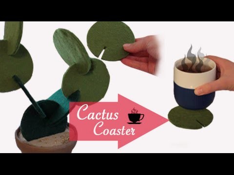 Cactus Coaster plant  | Step-By-Step DIY